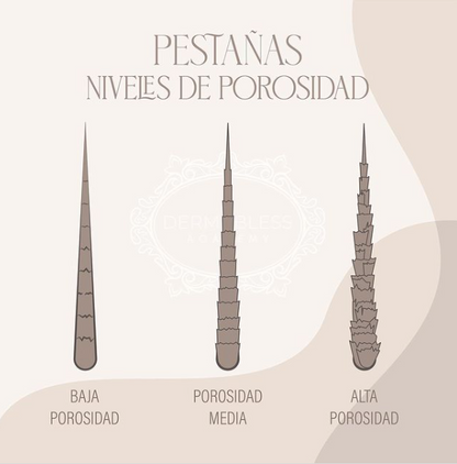 Primer de Pestañas - MY PERLA