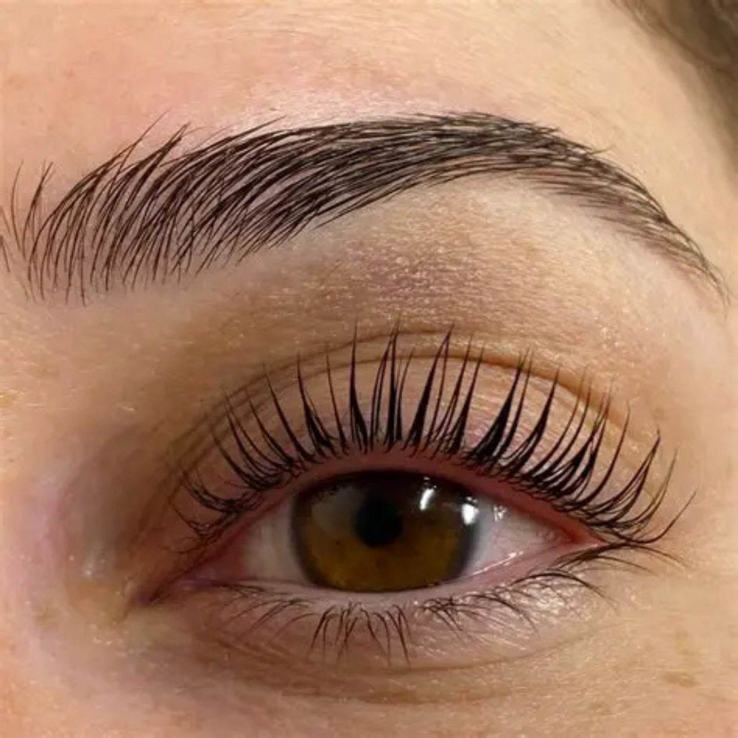 Lash Clinic Lashnol Paso 1.5