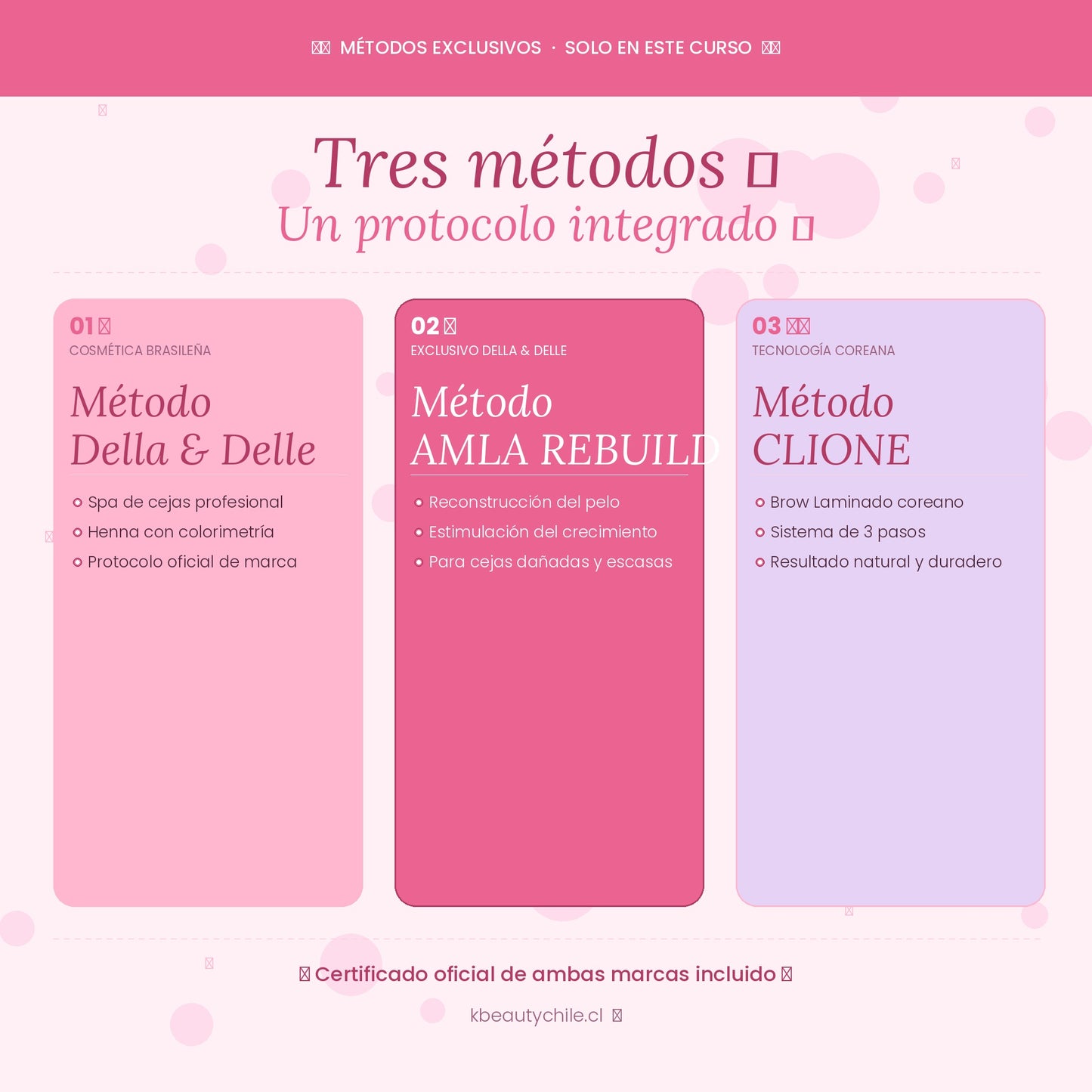 Curso Profesional de Cejas · Laminación + Henna + Spa · Métodos Della & Delle y Clione · AMLA REBUILD · Online y Presencial Chile