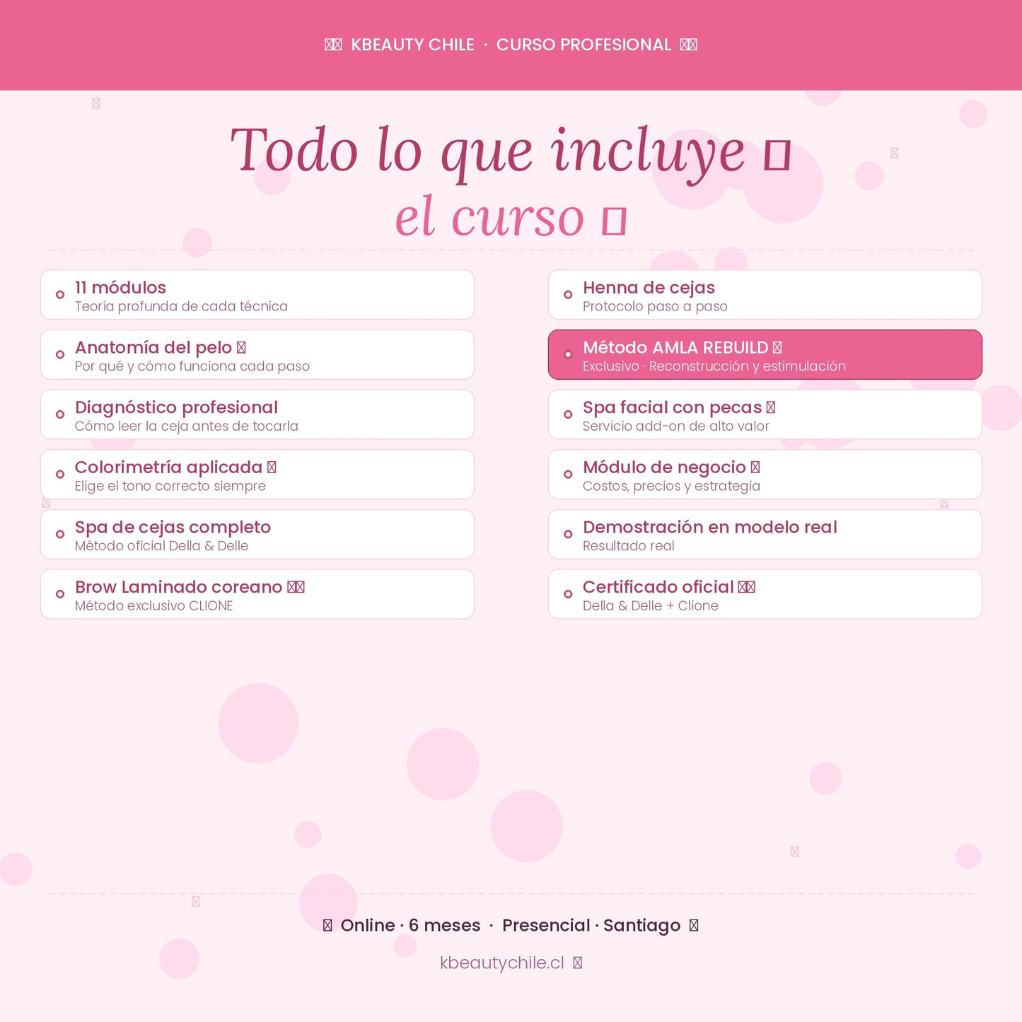 Curso Profesional de Cejas · Laminación + Henna + Spa · Métodos Della & Delle y Clione · AMLA REBUILD · Online y Presencial Chile