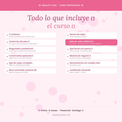 Curso Profesional de Cejas · Laminación + Henna + Spa · Métodos Della & Delle y Clione · AMLA REBUILD · Online y Presencial Chile