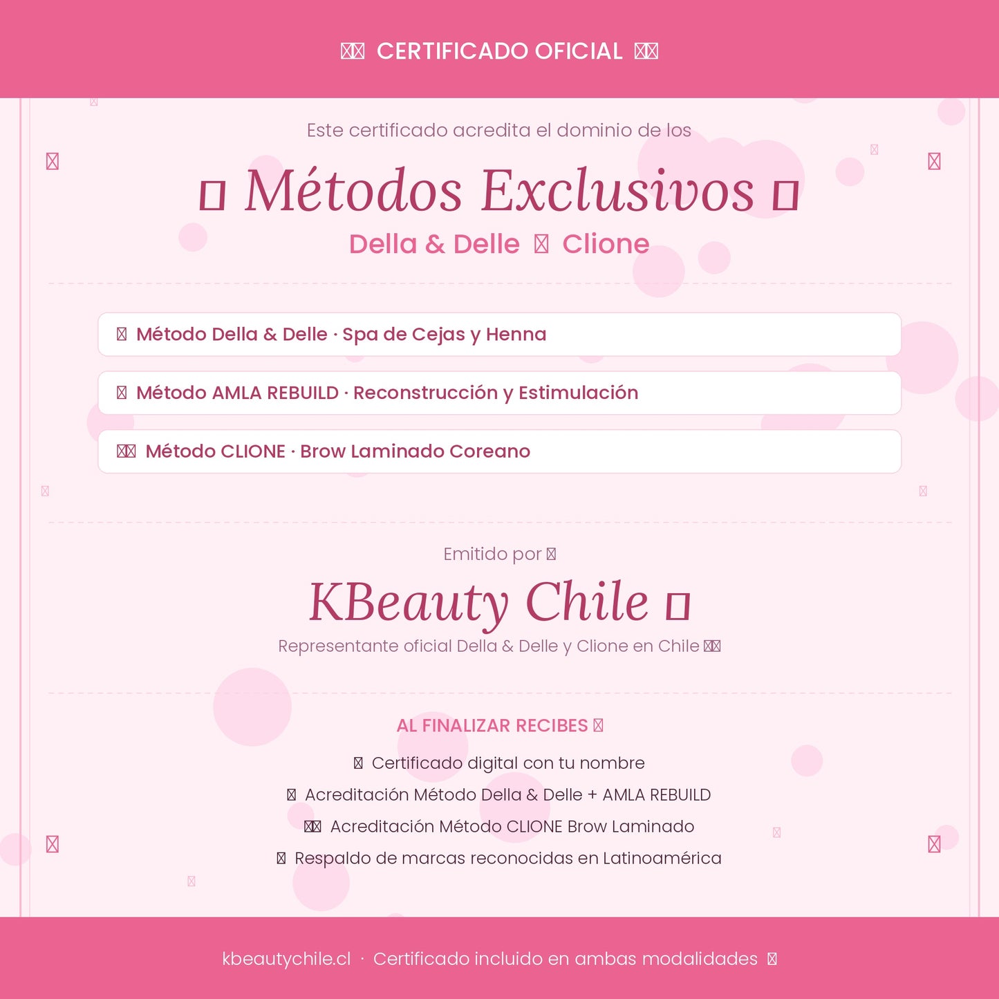Curso Profesional de Cejas · Laminación + Henna + Spa · Métodos Della & Delle y Clione · AMLA REBUILD · Online y Presencial Chile