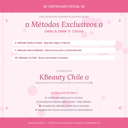 Curso Profesional de Cejas · Laminación + Henna + Spa · Métodos Della & Delle y Clione · AMLA REBUILD · Online y Presencial Chile