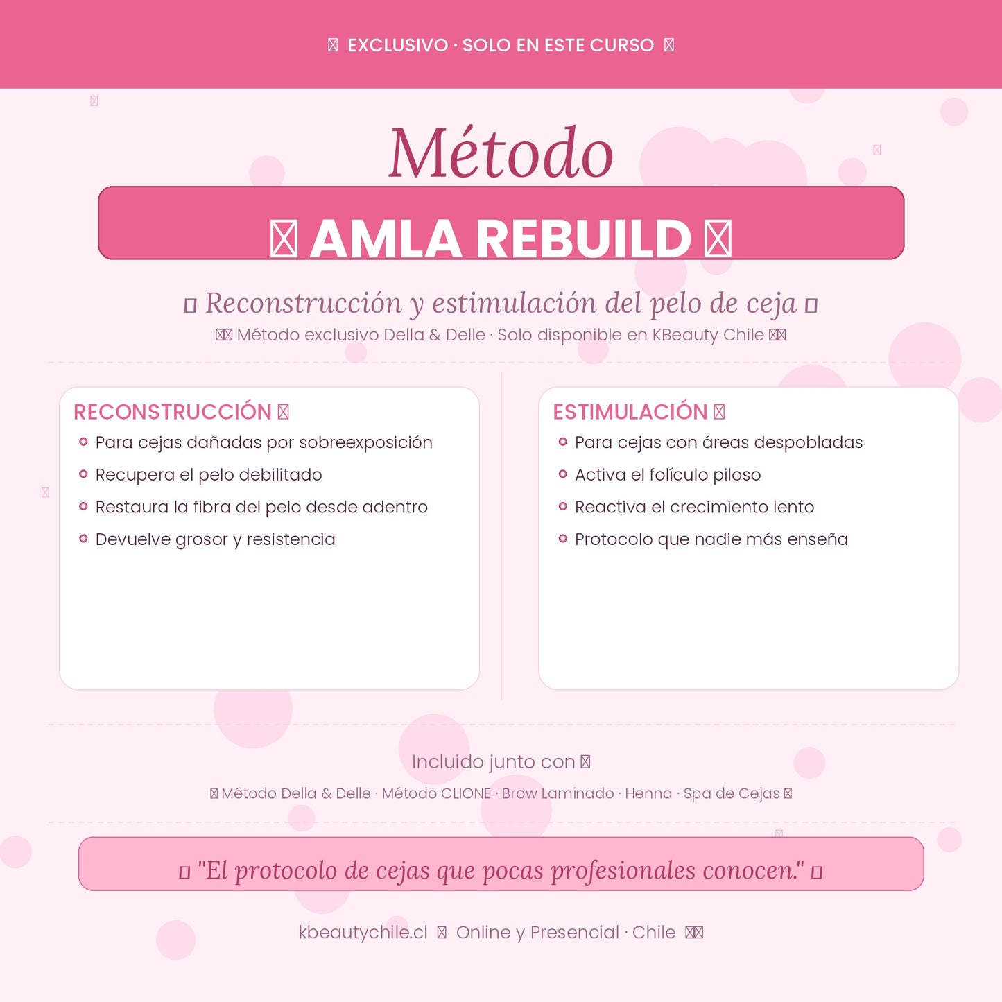Curso Profesional de Cejas · Laminación + Henna + Spa · Métodos Della & Delle y Clione · AMLA REBUILD · Online y Presencial Chile