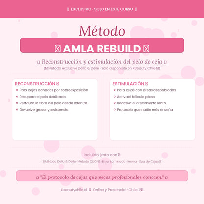 Curso Profesional de Cejas · Laminación + Henna + Spa · Métodos Della & Delle y Clione · AMLA REBUILD · Online y Presencial Chile