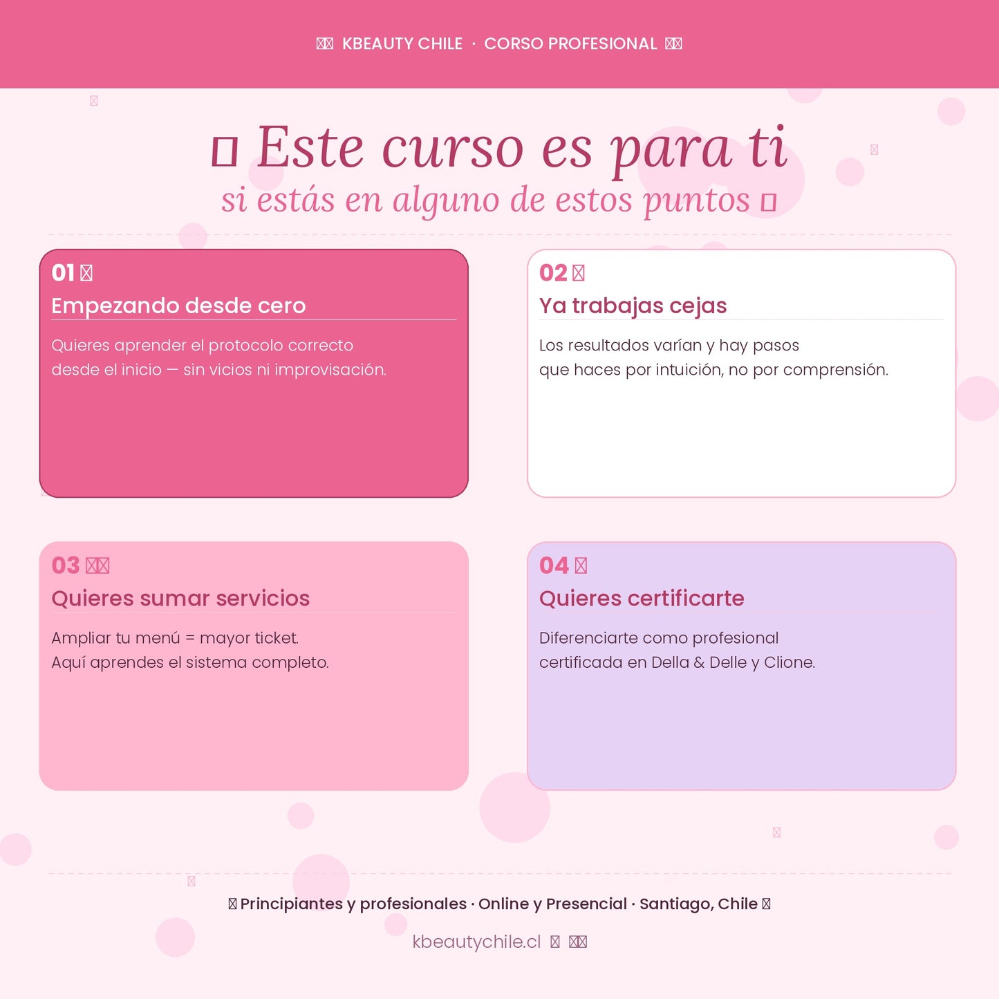 Curso Profesional de Cejas · Laminación + Henna + Spa · Métodos Della & Delle y Clione · AMLA REBUILD · Online y Presencial Chile