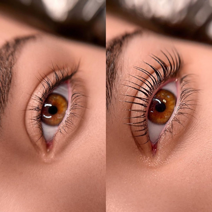 Kit de Lifting y Laminado de Cejas + TINTE  DLUX PROFESSIONAL
